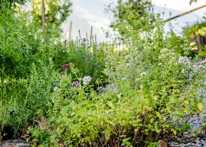 Отель Gartenhotel Crystal 4*