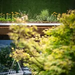 Gartenhotel Crystal 호텔 4*